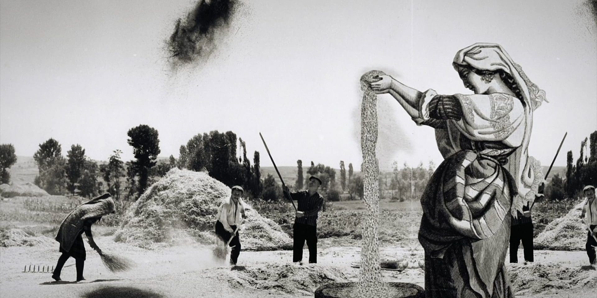 A woman lets grain run through her fingers in a makeshift sifting process while several workers behind her fling grain into the air to separate out the large chaff pieces.